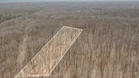 10 1 Acres Nancy Ann, Gladwin, MI 48624 photo 2