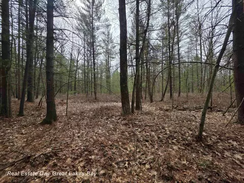 5004 E Shr, Alger, MI 48610 photo 6