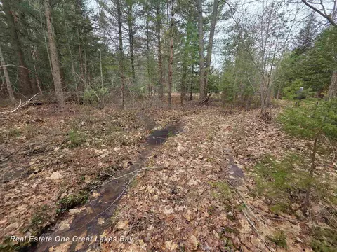 5004 E Shr, Alger, MI 48610 photo 2