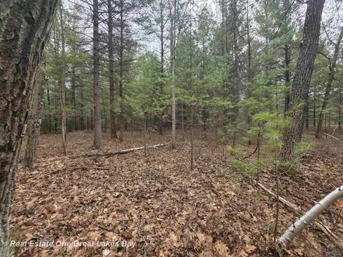 5004 E Shr, Alger, MI 48610 photo 10