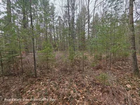 5004 E Shr, Alger, MI 48610 photo 3