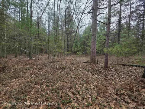 5004 E Shr, Alger, MI 48610 photo 9