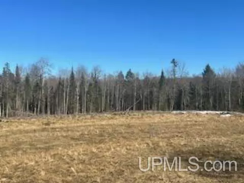 tbd Buntrock, Iron River, MI 49935