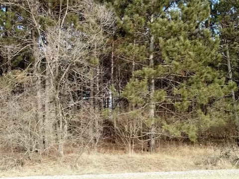 tbd Beech, Lake, MI 48632 photo 2
