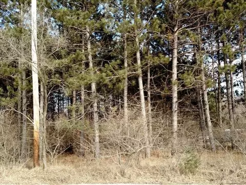 tbd Beech, Lake, MI 48632