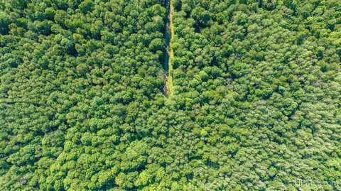 tbd Dream Lake Rd #LOT 3, Tipler-wi, WI 54542