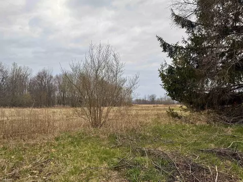 V/l C-1 Cork, Morrice, MI 48857