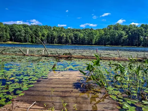 Nhn Half Moon Lake, Harrison, MI 48625