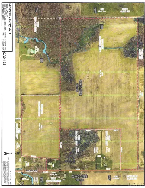 7000 Brooks, Onsted, MI 49265