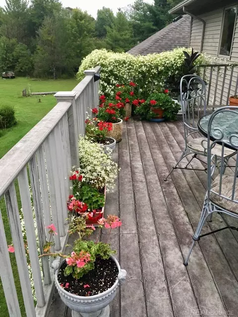 Exterior - 6728 Frith, Saint Clair, MI 48079 photo 21 of 21