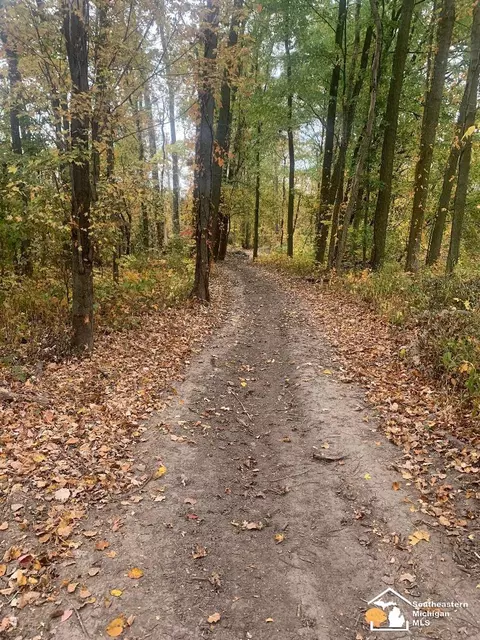 Ostrander, Maybee, MI 48159 photo 2