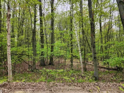 lot782 Elkhorn, Farwell, MI 48622