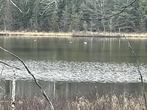 742 Moonlite, Laona T-wi, WI 54103