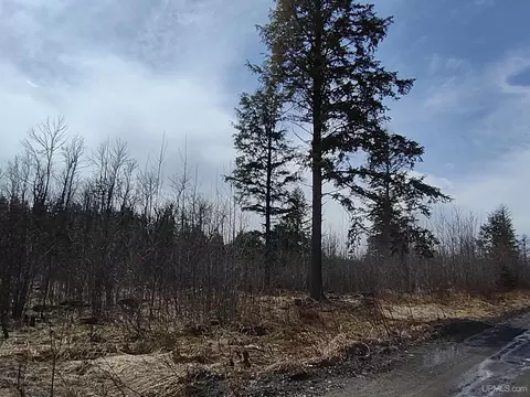 tbd Nelson #LAT 46.8732 LON -88.1689, L'anse, MI 49946