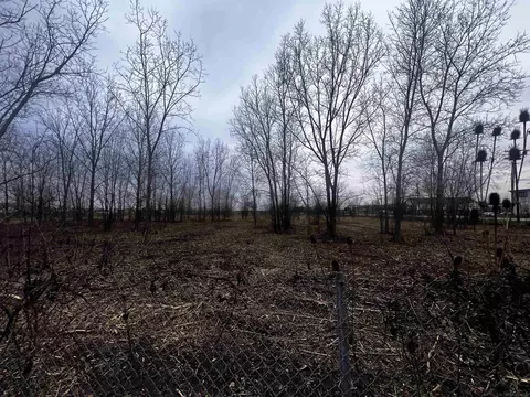 0 Merriman, Romulus, MI 48174 photo 5