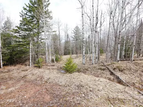 16234 Skanee, L'anse, MI 49946 photo 17
