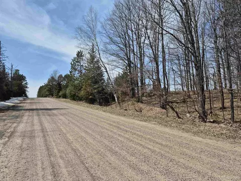 30 Acres Turner, Sagola, MI 49881