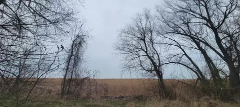 0 N Saginaw Bay Shr, Pinconning, MI 58650