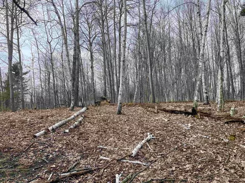 tbd Smith Lake Dr, Manistique, MI 49854