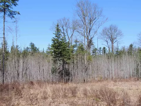 Undisclosed, Rapid River, MI 49878 photo 13