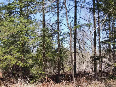 Undisclosed, Rapid River, MI 49878 photo 9