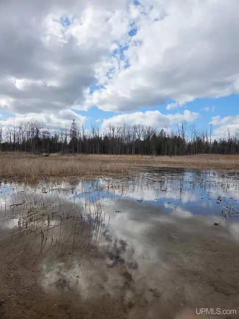 Undisclosed, Rapid River, MI 49878