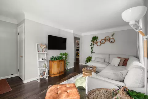 Living - 233 Pare, Clawson, MI 48017 photo 3 of 4