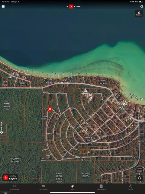 Beechwood, Higgins Lake, MI 48653