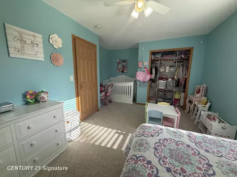 1232 S Hemlock, Hemlock, MI 48626 photo 19