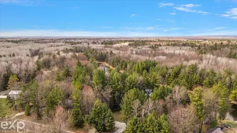 View/Area - 1077 Pineway, Gladwin, MI 48624 photo 2 of 10