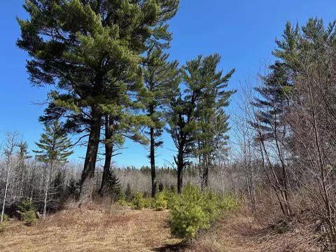 2955 Co Rd Cd, Ishpeming, MI 49849 photo 5