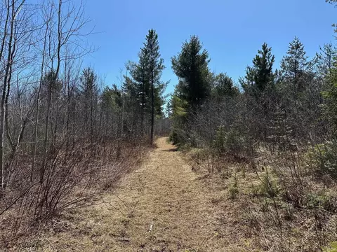 2955 Co Rd Cd, Ishpeming, MI 49849 photo 3