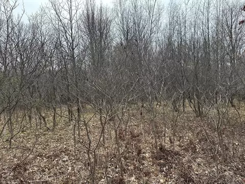 Undisclosed, Harrison, MI 48625 photo 17