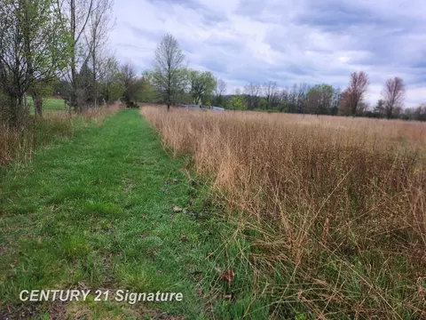 4471 Duffield, Flushing, MI 48433 photo 5