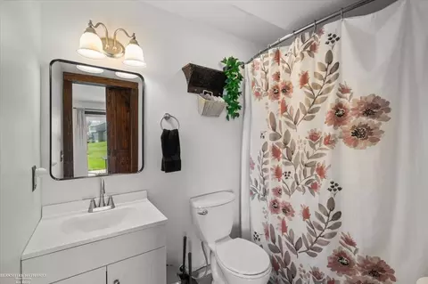 347 White Pne, Belding, MI 48809 photo 17