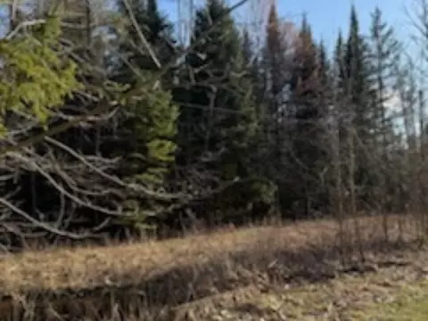 8100 Simmons, Alpena, MI 49707
