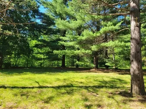 3 Parcels White, Gladwin, MI 48624 photo 5