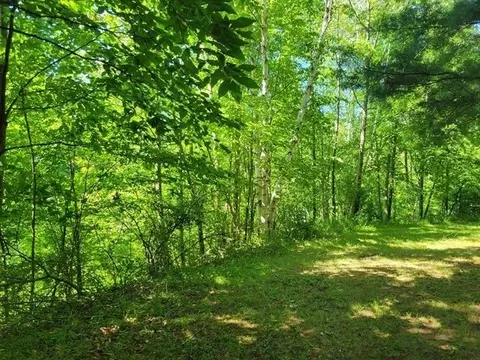 3 Parcels White, Gladwin, MI 48624 photo 6