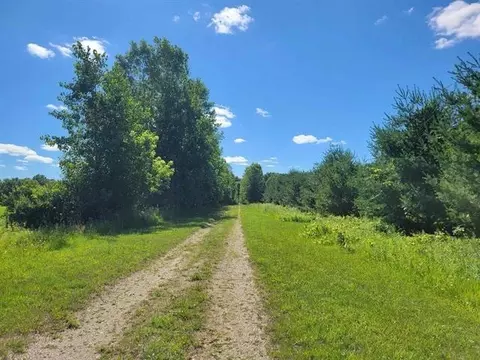 3 Parcels White, Gladwin, MI 48624 photo 8