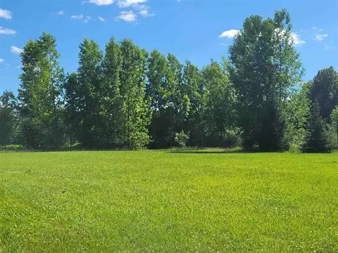 470 White, Gladwin, MI 48624 photo 16