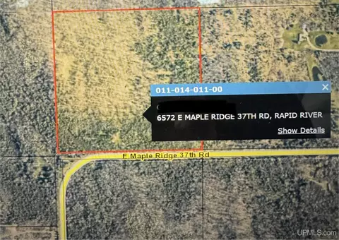 6572 E Maple Ridge 37th, Rapid River, MI 49878 photo 6