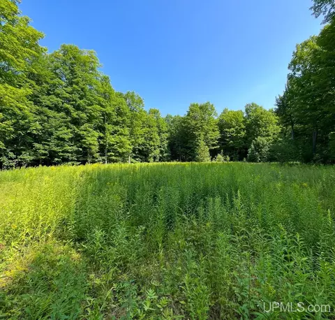 6572 E Maple Ridge 37th, Rapid River, MI 49878 photo 30