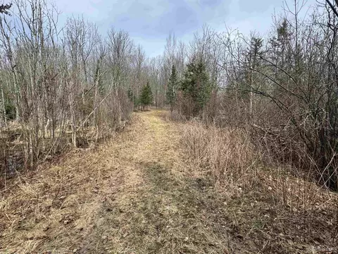 6572 E Maple Ridge 37th, Rapid River, MI 49878 photo 28