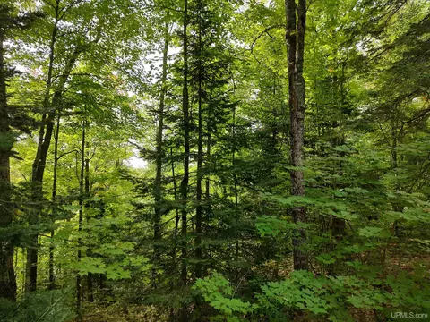 80 Acres County Road Gga, Ishpeming, MI 49849 photo 46