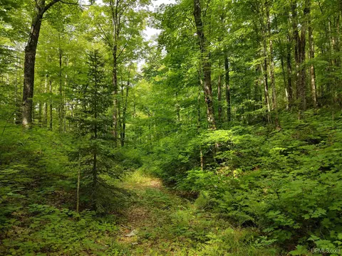 80 Acres County Road Gga, Ishpeming, MI 49849 photo 36