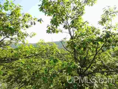 80 Acres County Road Gga, Ishpeming, MI 49849 photo 48