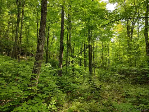 80 Acres County Road Gga, Ishpeming, MI 49849 photo 37