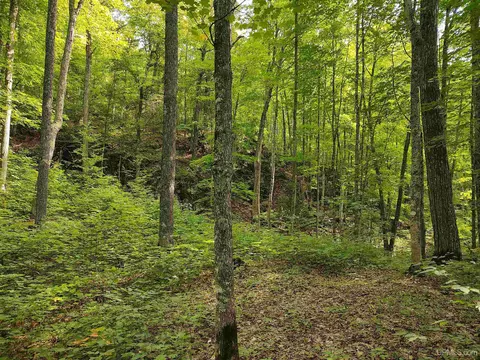 80 Acres County Road Gga, Ishpeming, MI 49849 photo 41