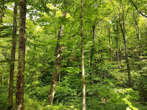 80 Acres County Road Gga, Ishpeming, MI 49849 photo 15