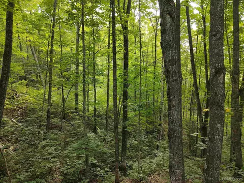 80 Acres County Road Gga, Ishpeming, MI 49849 photo 43